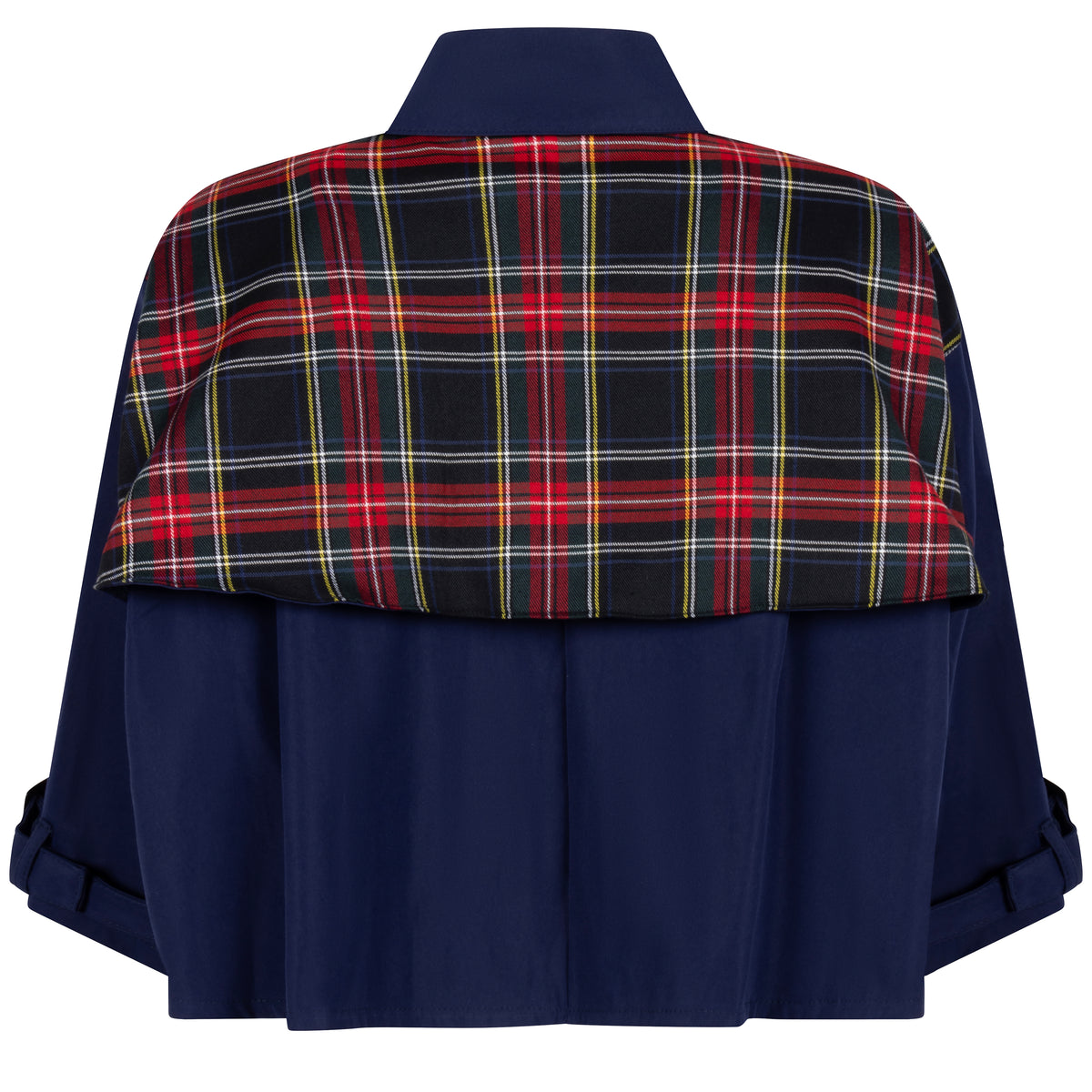 Cape Scottisch blue